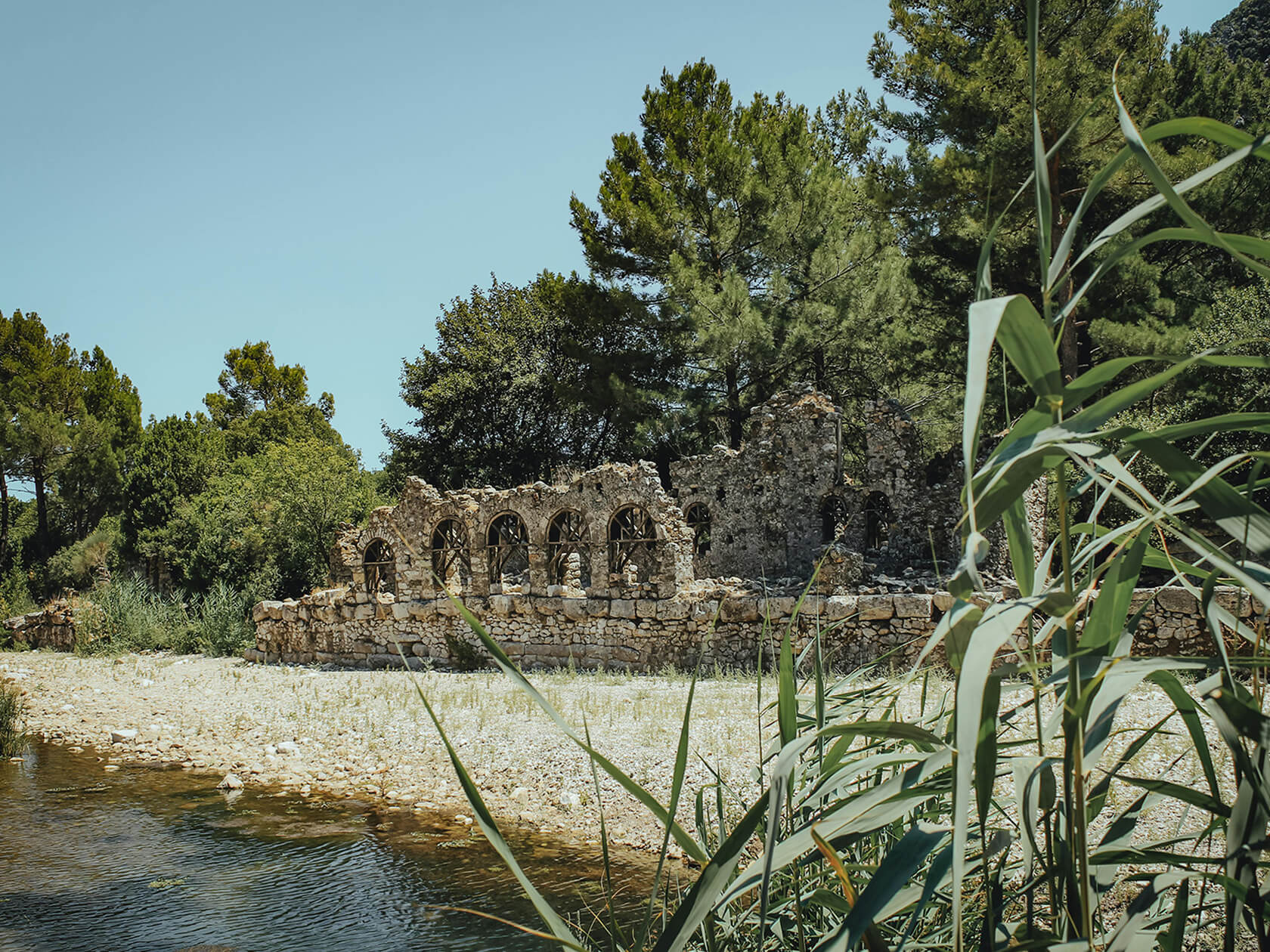Antalya’nın Endemik Bitkileriyle Tanışın: Tatilde Doğayı Keşfetmek