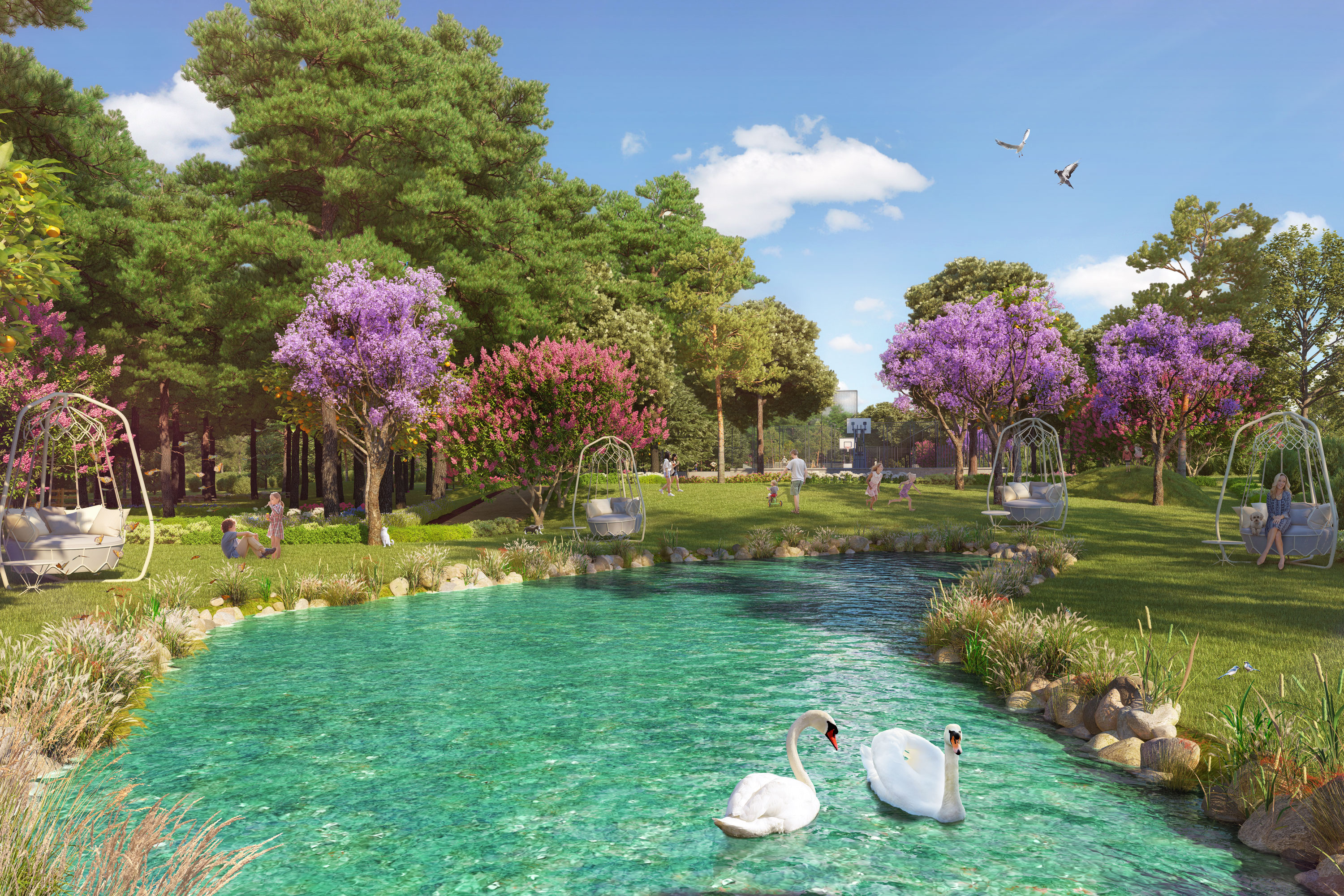Pond